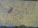image of grave number 956723